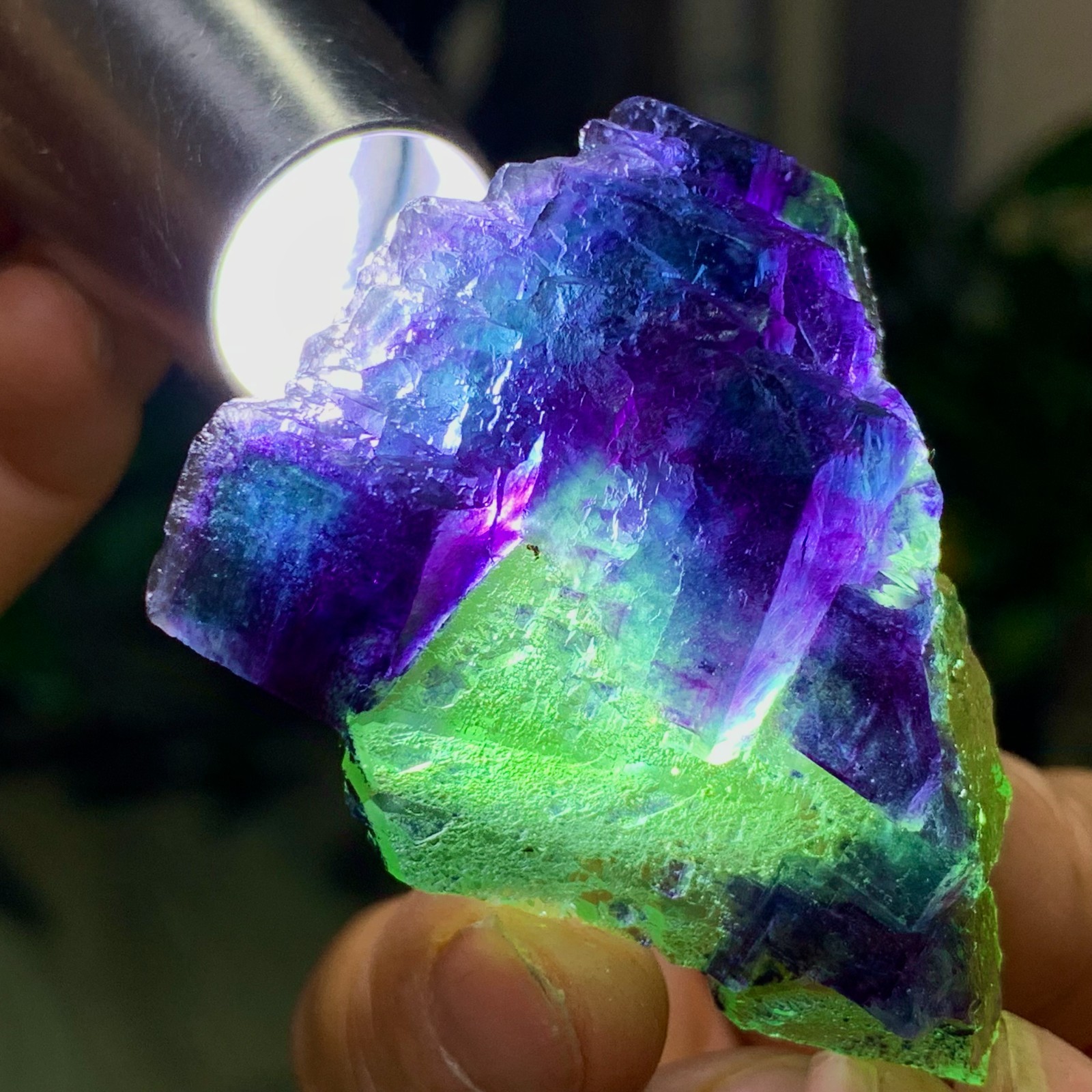50G Natural transparent green purple cubic crystal fluorite mineral sample