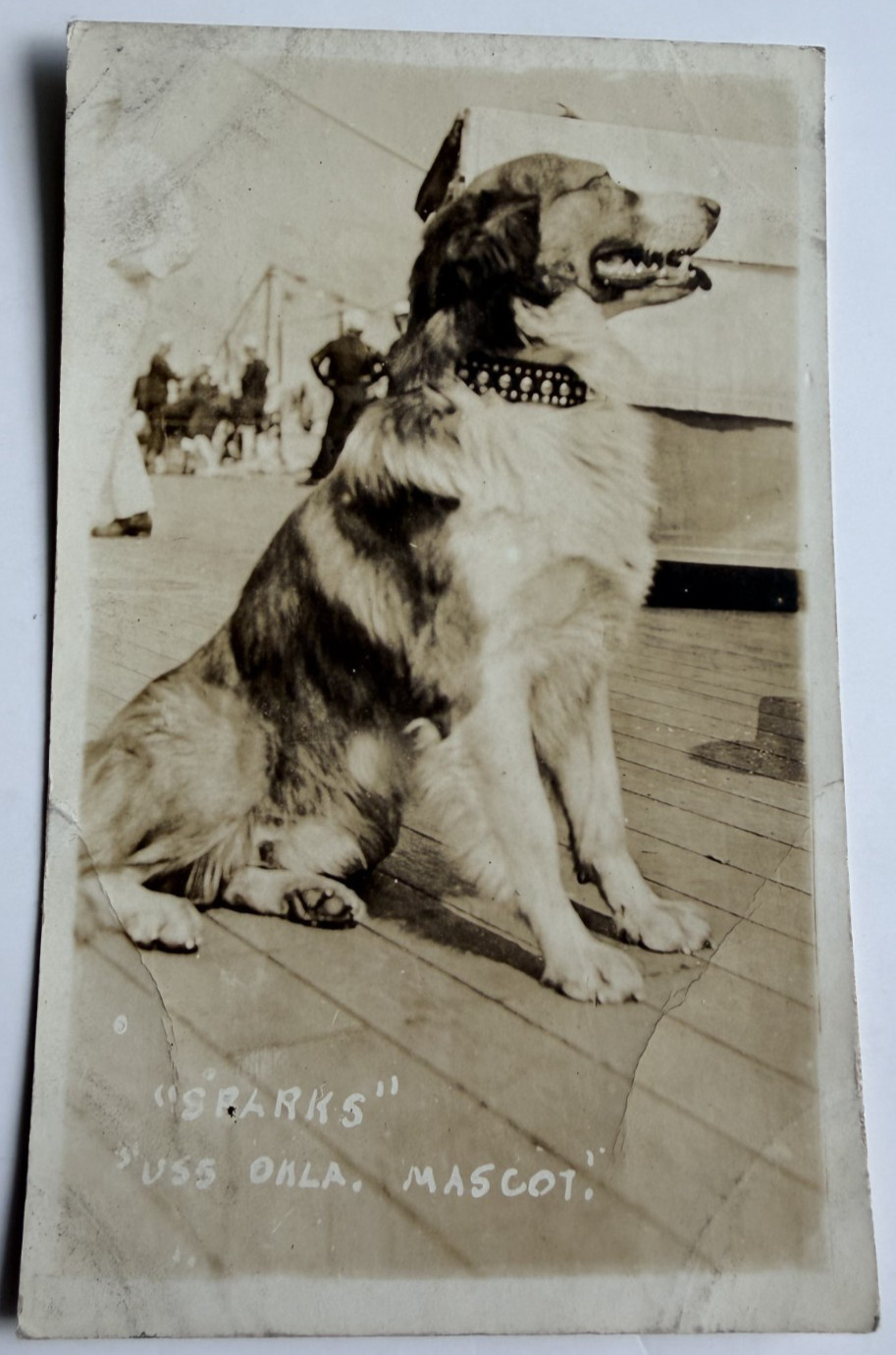 c1916 RPPC WWI USS Oklahoma Mascot Dog Sparks Postcard Vintage Navy Sailor 