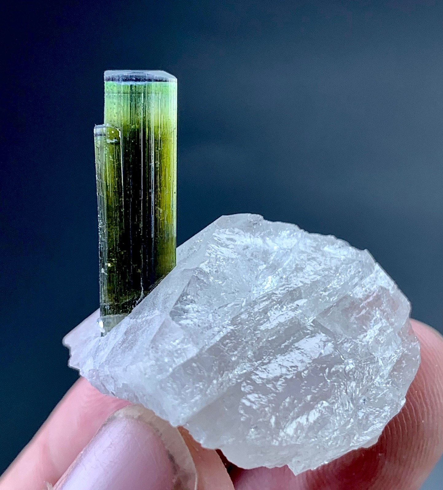 55 Carat Green Cap Tourmaline Crystal Specimen On Quartz From Afghanistan