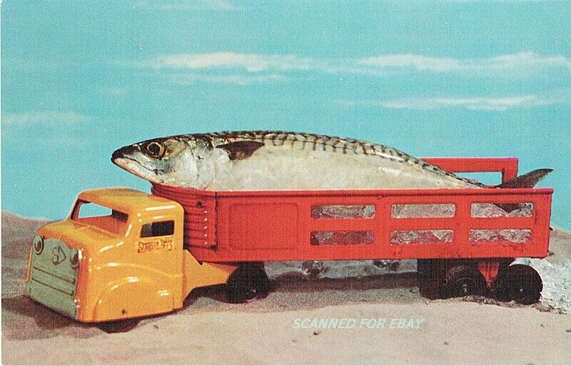 Vintage Structo Toy Truck Fish That Didn\'t Get Away Postcard 1950\'s Unused