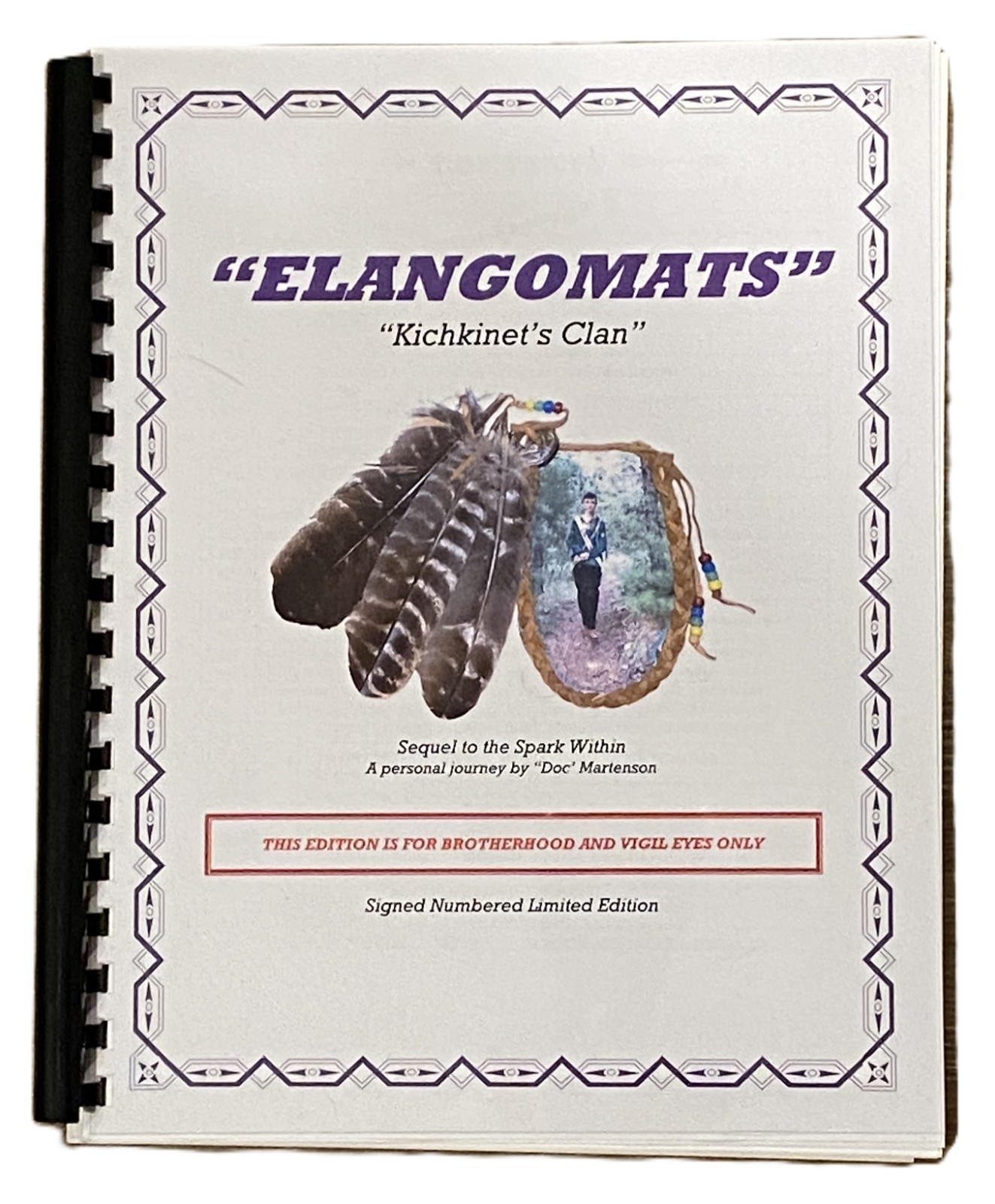 The Spark Within Sequel Elangomats