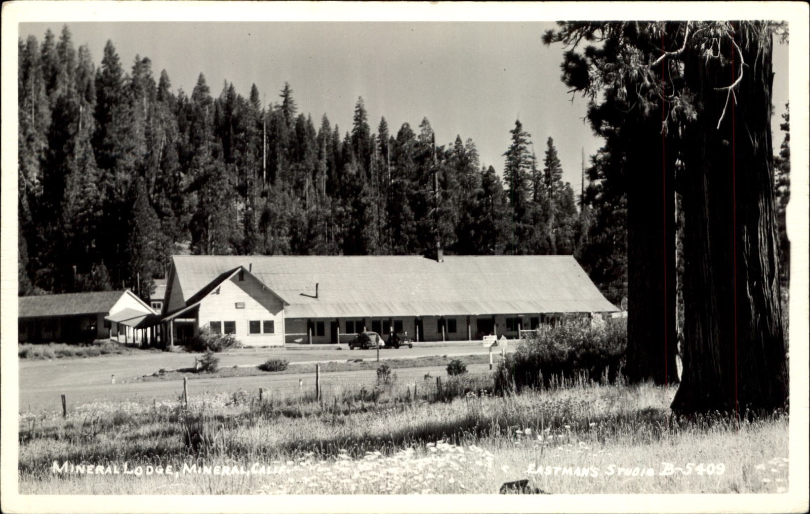 Mineral Lodge ~ Mineral California ~ Eastman Studio RPPC real photo ~ 1940s Mineral Lodge ~ Mineral California ~ Eastman Studio RPPC real photo ~ 1940s