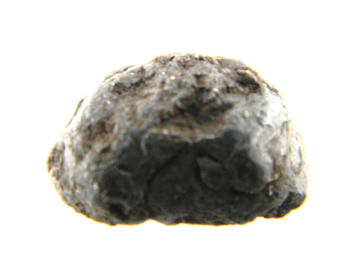 Chelyabinsk LL5 Chondrite Meteorite Chelyabinskaya oblast’, Russia 2.58 Grams