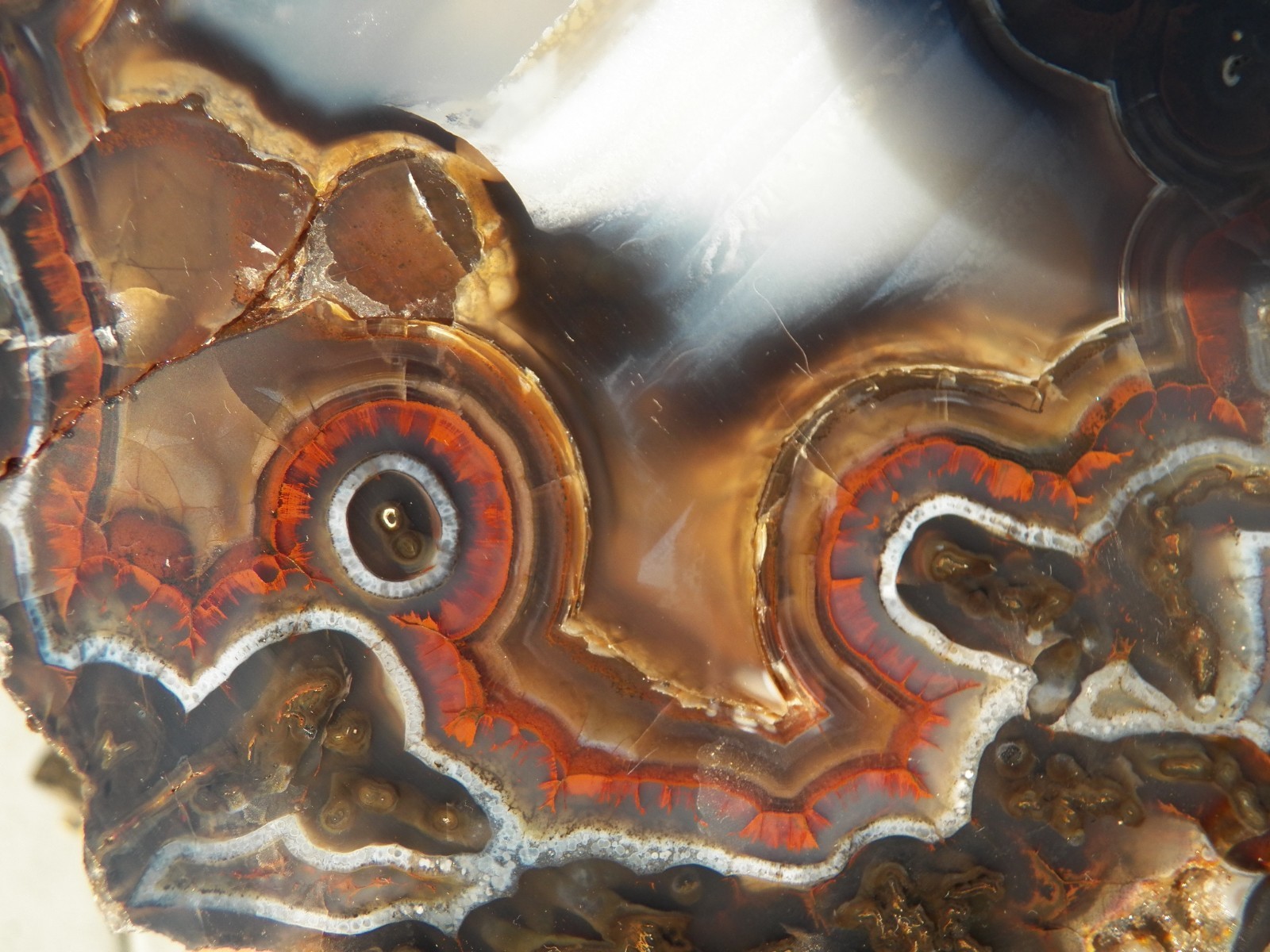 5.3 lb 2 pc pseudo art deco agate specimen  Cubuk Turkey mirror polished gem