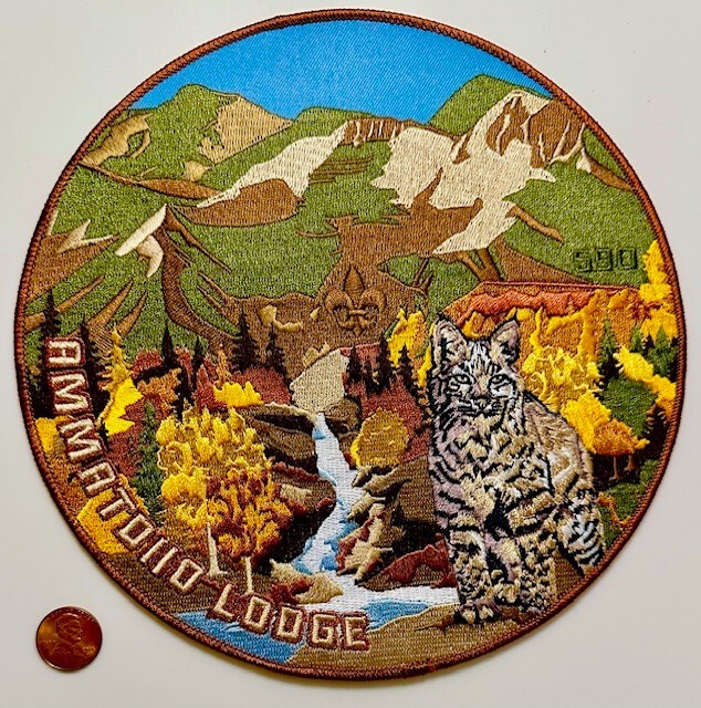 BOY SCOUT AMMATDIIO 590 CROSSROADS WEST 2022 FALL LYNX 8