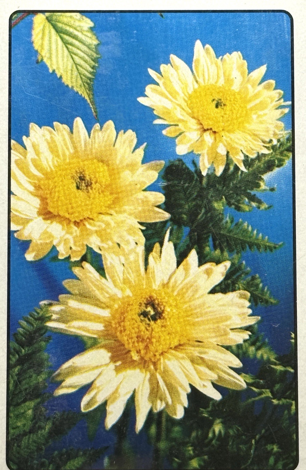 Vintage Arrco Yellow Flowers Playing Cards Deck Cincinnati Ohio SEALED