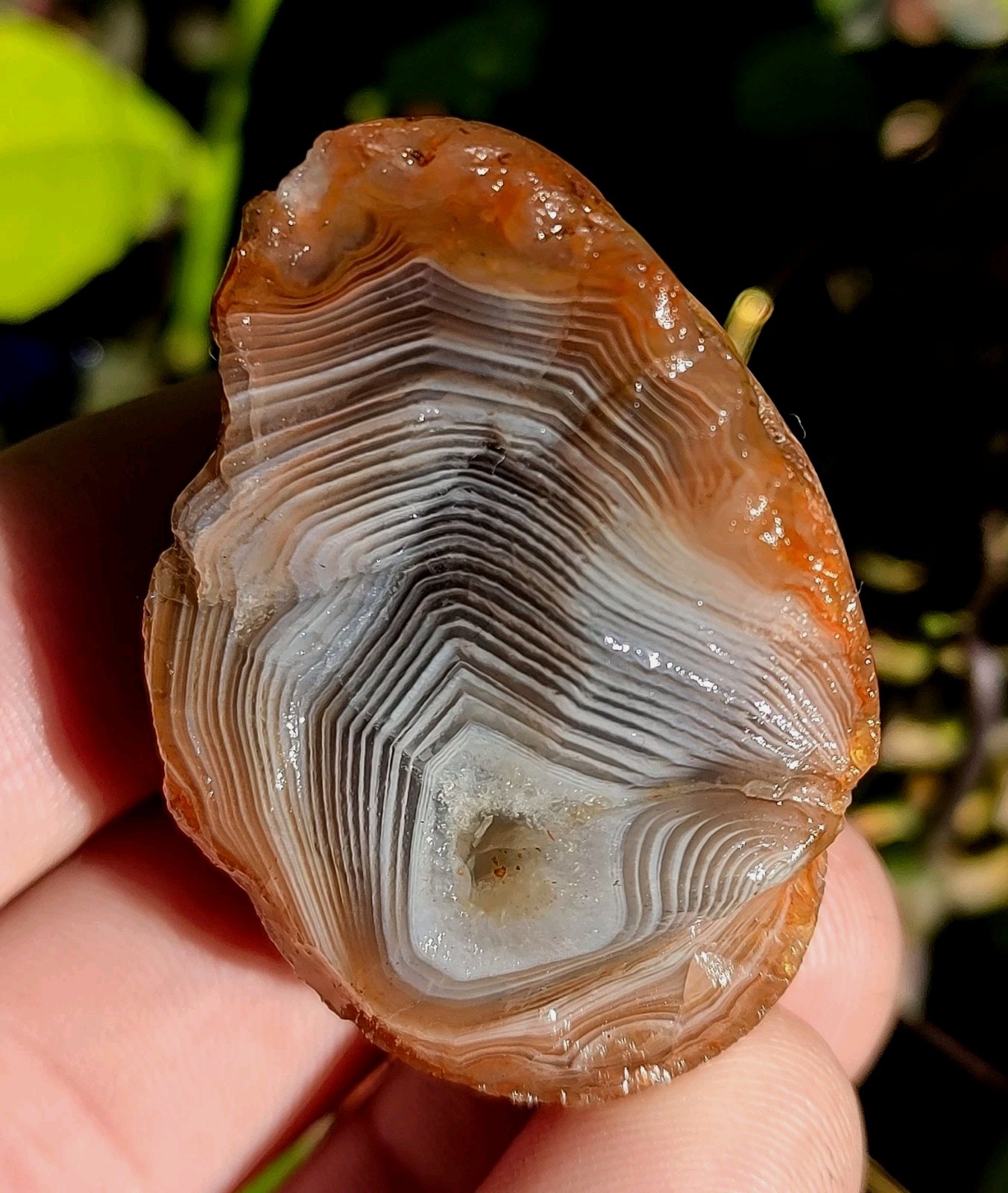 Lake Superior Agate, 1.9oz Excellent Layered Banding Display Agate Lake Superior Agate, 1.9oz Excellent Layered Banding Display Agate