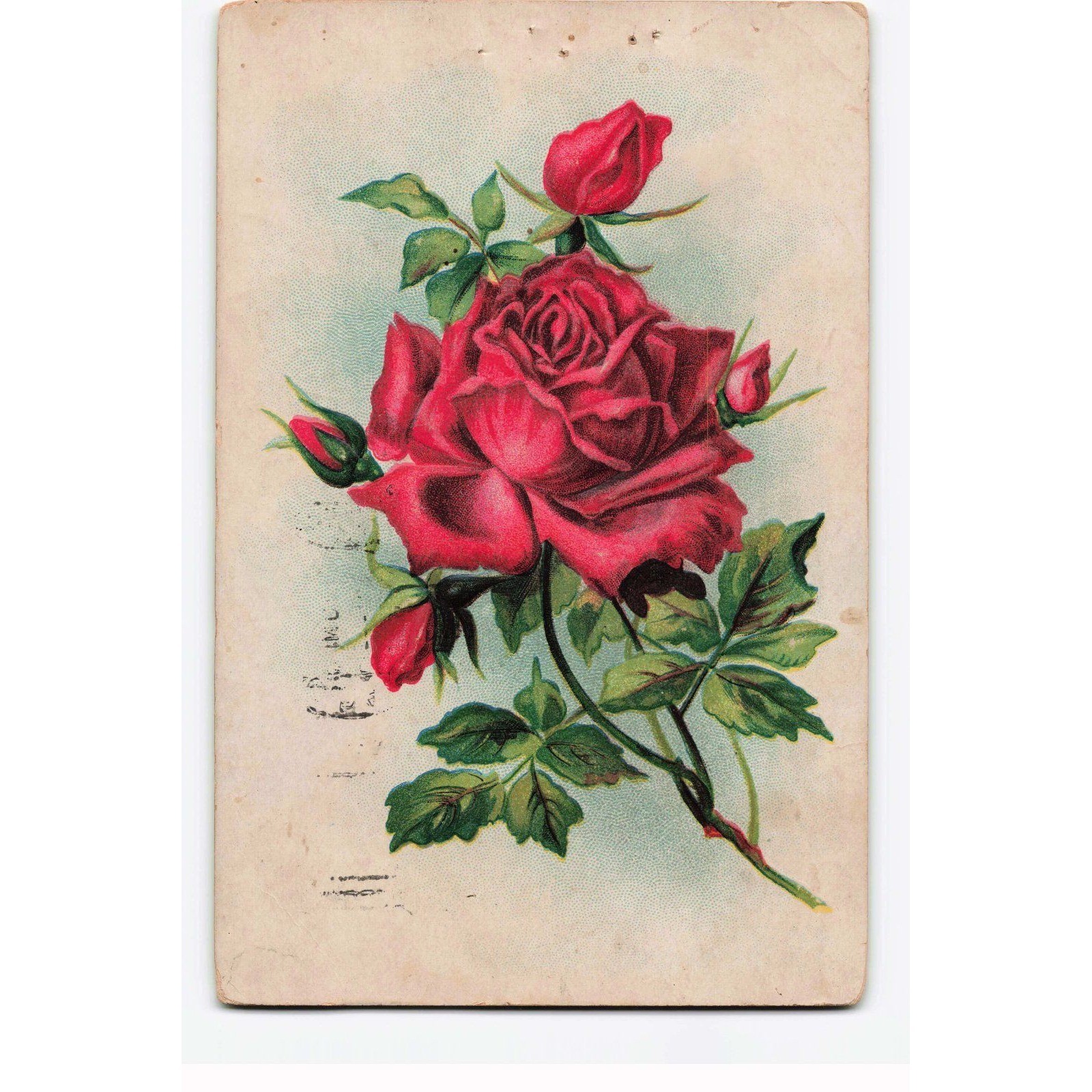 Vintage 1908 Red Rose Embossed Postcard Kittanning PA George Washington Stamp
