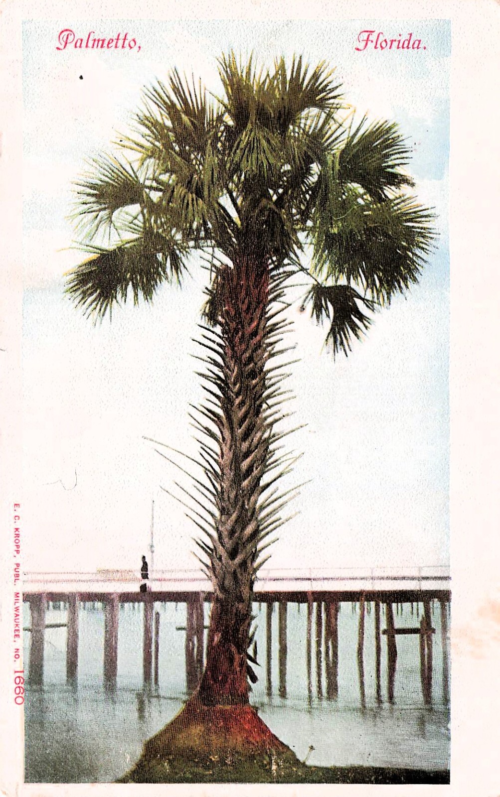 Palmetto FL Florida North Port Bradenton Sarasota Early 1900s Vtg Postcard F53