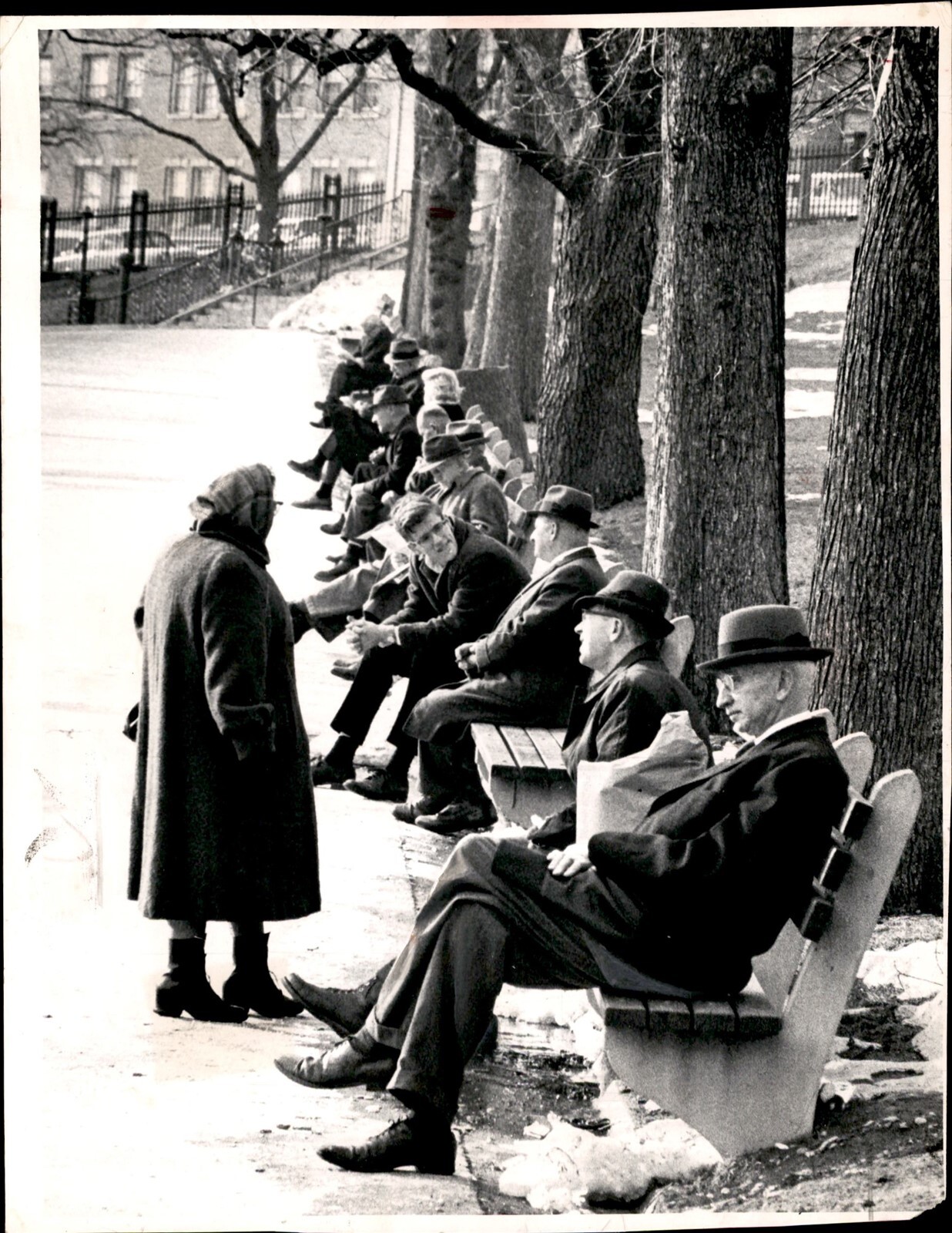 LD355 1964 Original UPI Photo BALMY DAY IN BOSTON COMMON PARK BENCHES FULL LD355 1964 Original UPI Photo BALMY DAY IN BOSTON COMMON PARK BENCHES FULL