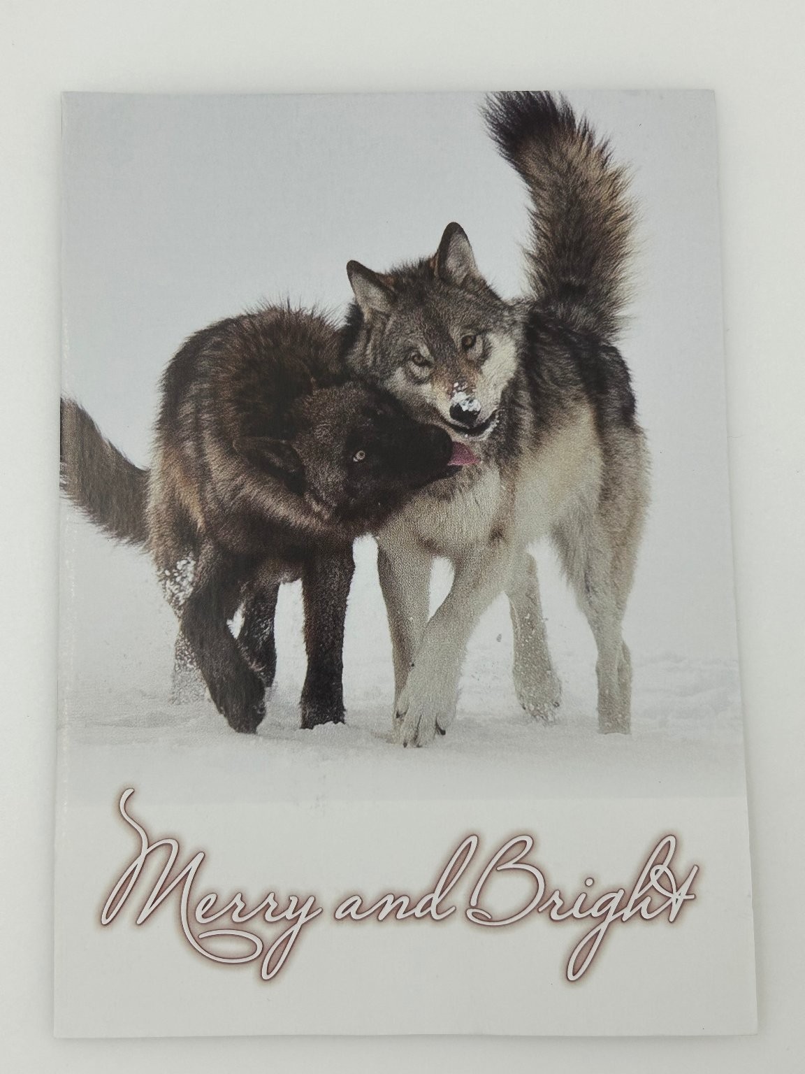 Merry and Bright Gray Wolves Holiday Greeting Card by Eilish Palmer Merry and Bright Gray Wolves Holiday Greeting Card by Eilish Palmer