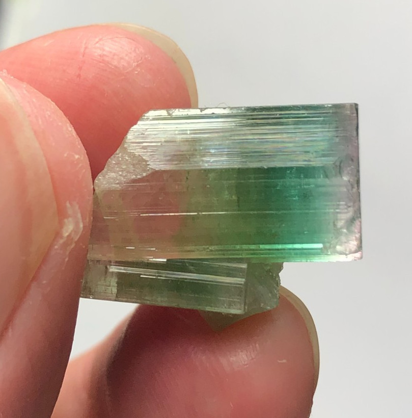 24 Cts Natural Tri Color Tourmaline Terminated Crystal Sourced from Afghanistan 24 Cts Natural Tri Color Tourmaline Terminated Crystal Sourced from Afghanistan