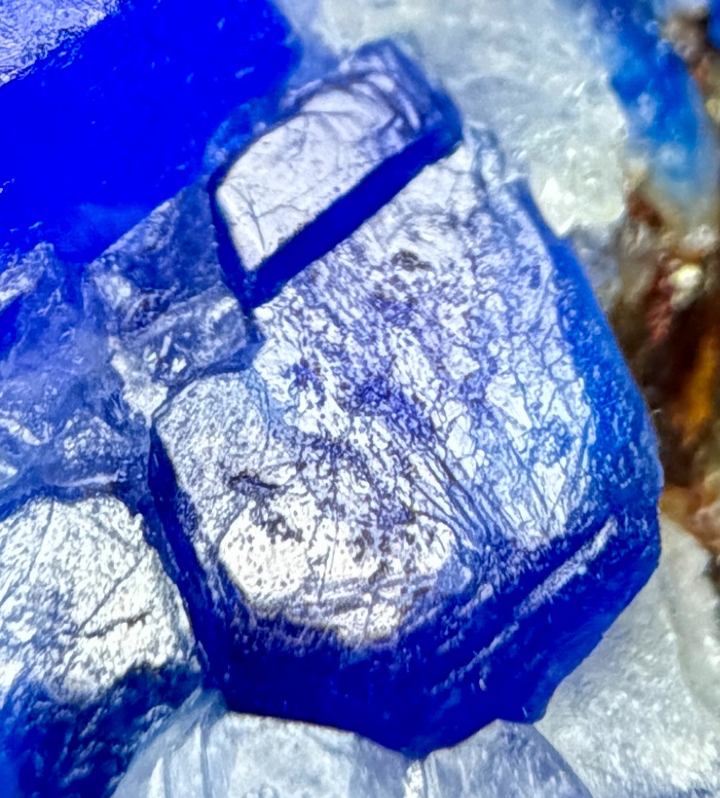 204 Carats Well Terminated Top Quality Blue Hauyne Crystals On Matrix @AFG
