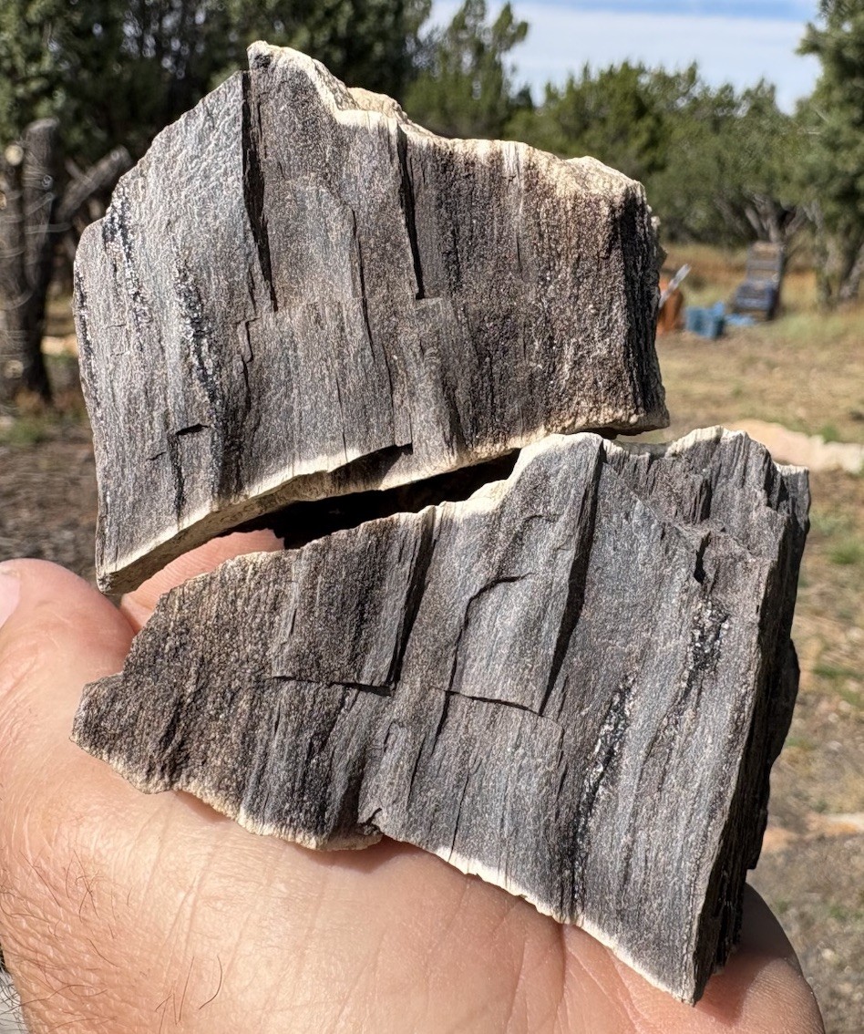 ☘️RR⛏️: 2 PCS Rare Fire Scarred Woodworthia Petrified Wood, NE AZ. 1.25 Lb🔥