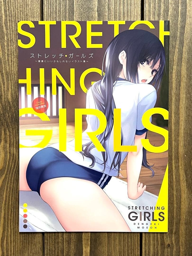 Stretch Girls Illustration Collection Dengeki Moeoh Art Book B5 34pp Collectible