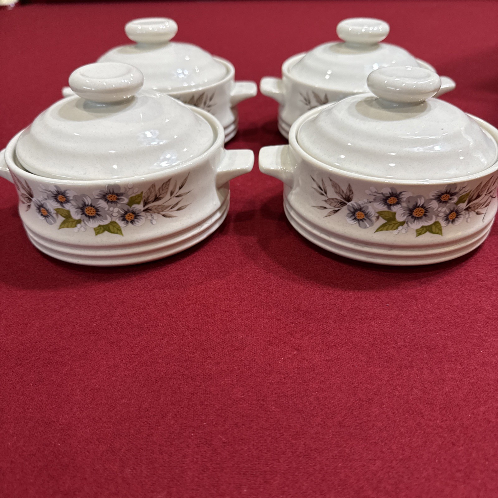 Vintage Heavenly Bake Serve\'n Store 5\