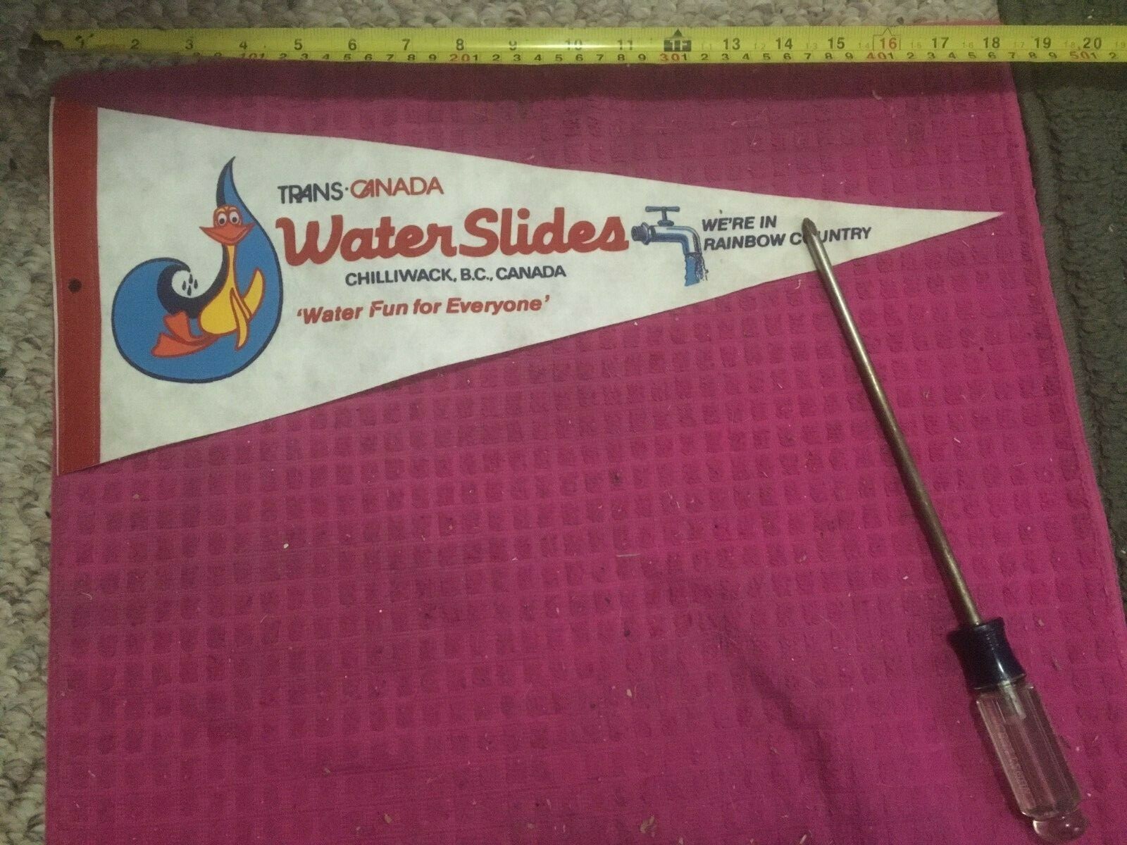 Vintage Chilliwack BC Pennant Trans Canada Water Slides WATER FUN FOR EVERYONE Vintage Chilliwack BC Pennant Trans Canada Water Slides WATER FUN FOR EVERYONE