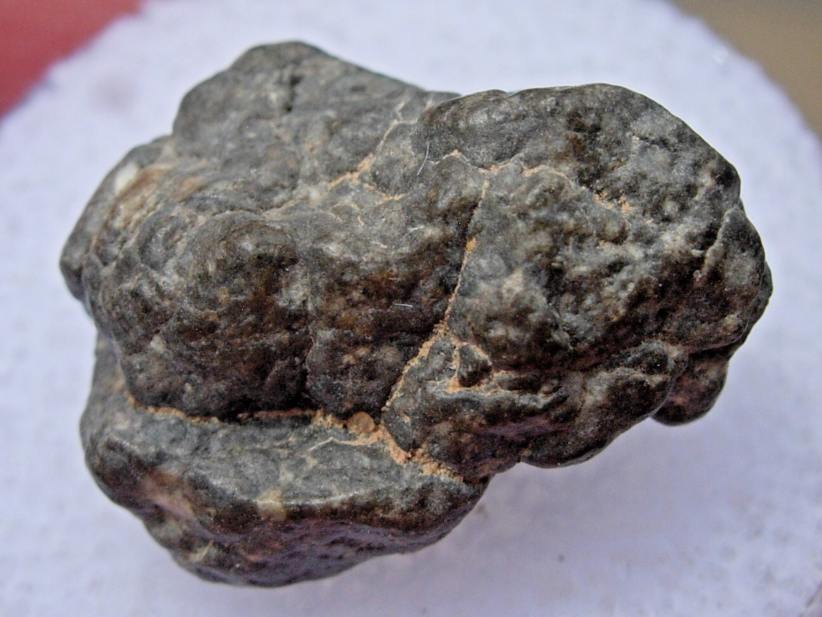 2.13 gram 16mm Laâyoune 002 Lunar Meteorite Moon as found Laayoune with a COA
