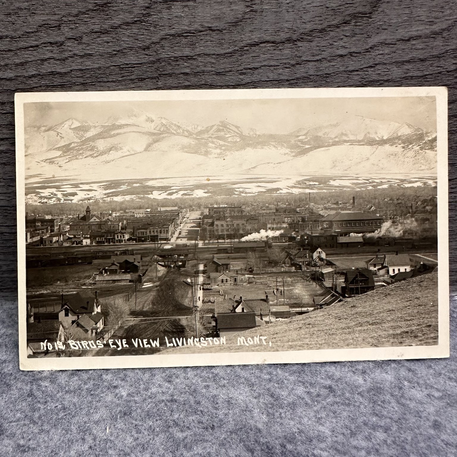 Livingston Montana Bird\'s Eye View RPPC Snow Capped Mountains Train 1900s Livingston Montana Bird\'s Eye View RPPC Snow Capped Mountains Train 1900s