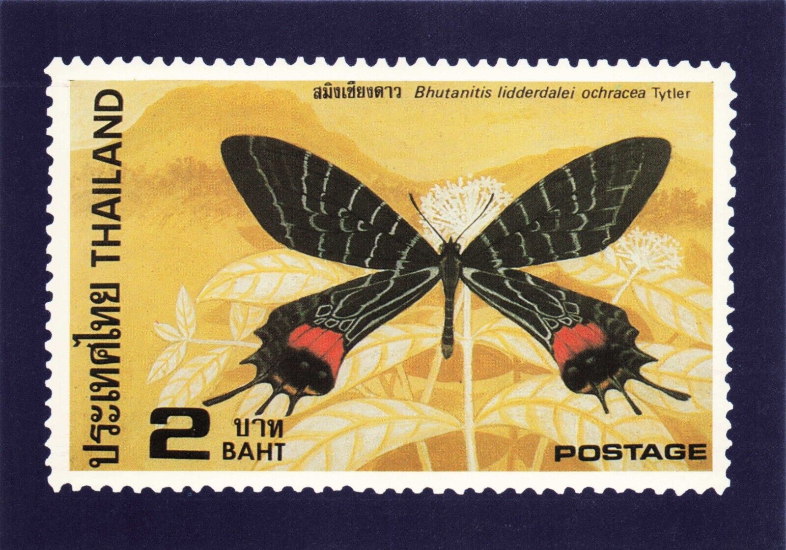 Thailand 2 Baht Stamp Swallowtail Butterfly Vintage Postcard Unposted 