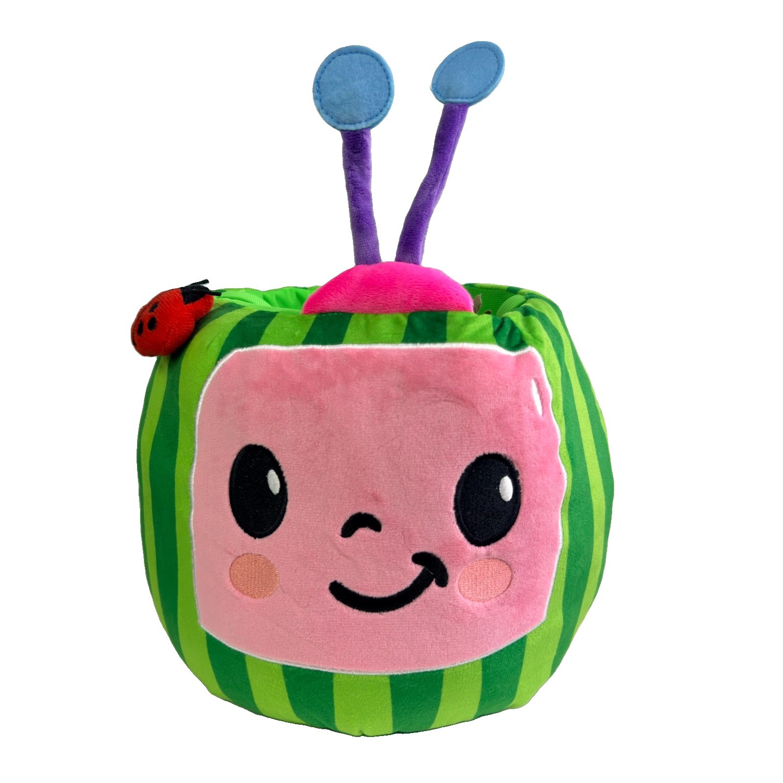 Cocomelon Watermelon Plush Basket Brand New