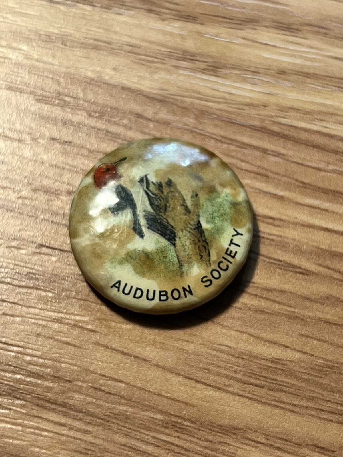 Vintage Bastian Branded Audubon Society Collectible Bird Souvenir Button Pin Vintage Bastian Branded Audubon Society Collectible Bird Souvenir Button Pin