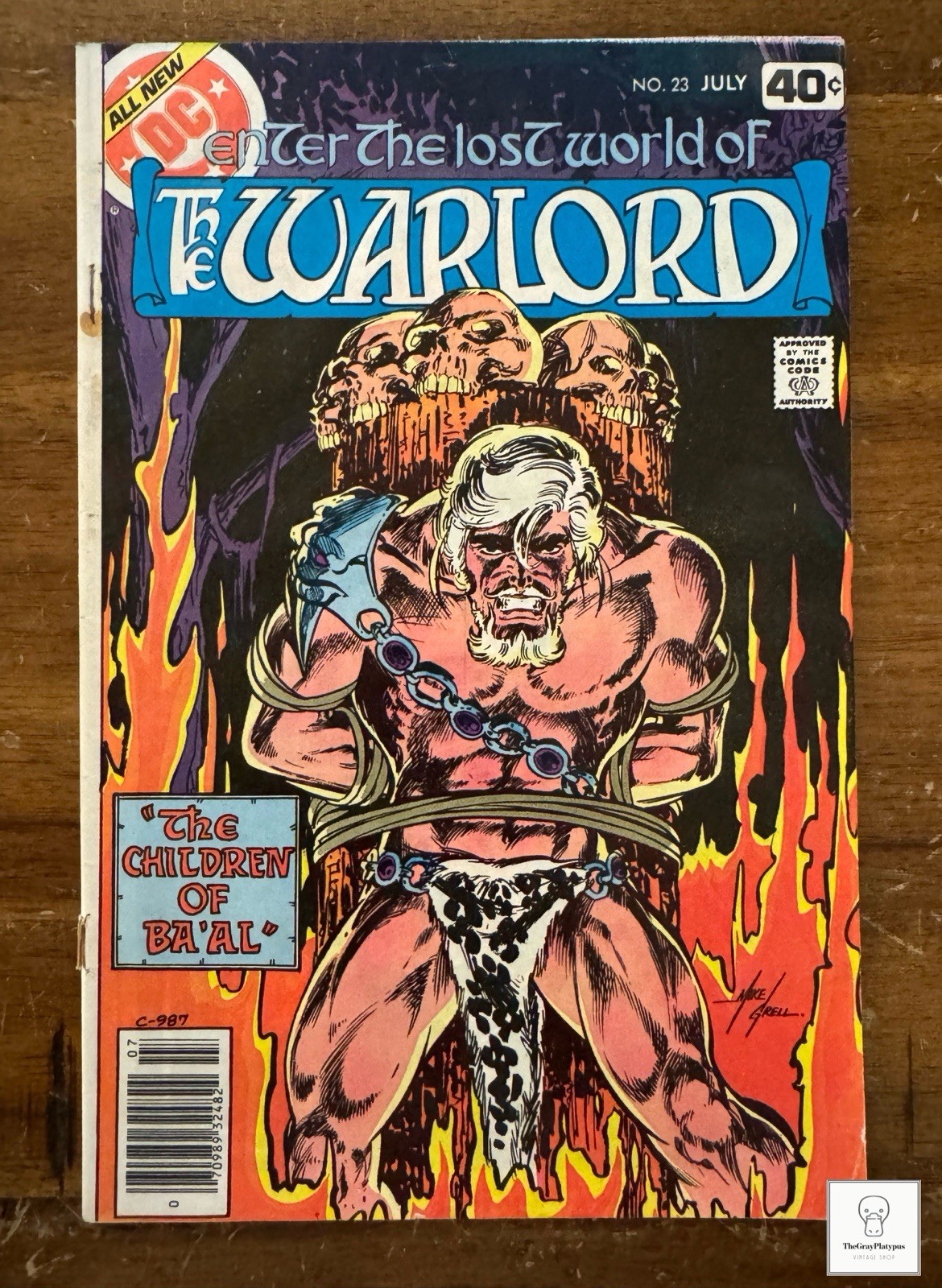 Warlord (DC) #23 Mike Grell 1979 MID-GRADE BAGGED BOARDED COMBINE SHIPPING