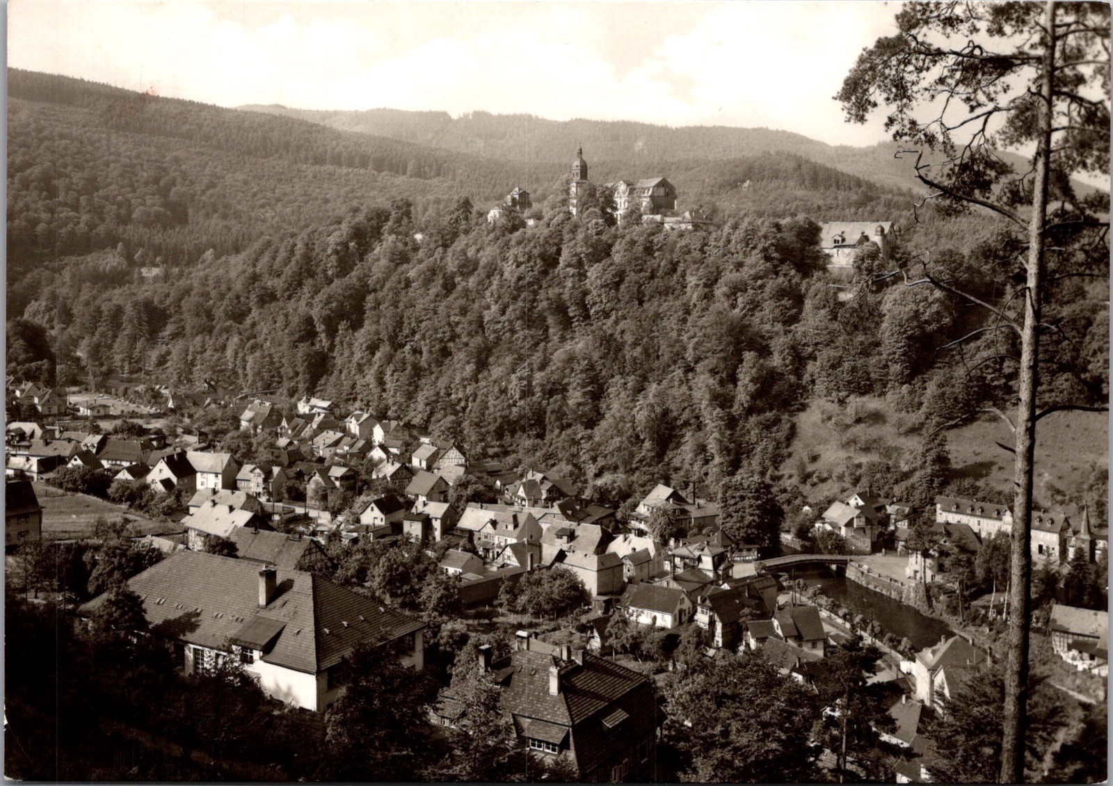 View Schwarzburg Germany Historic Castle Forested Hill Real Photo RPPC Postcard