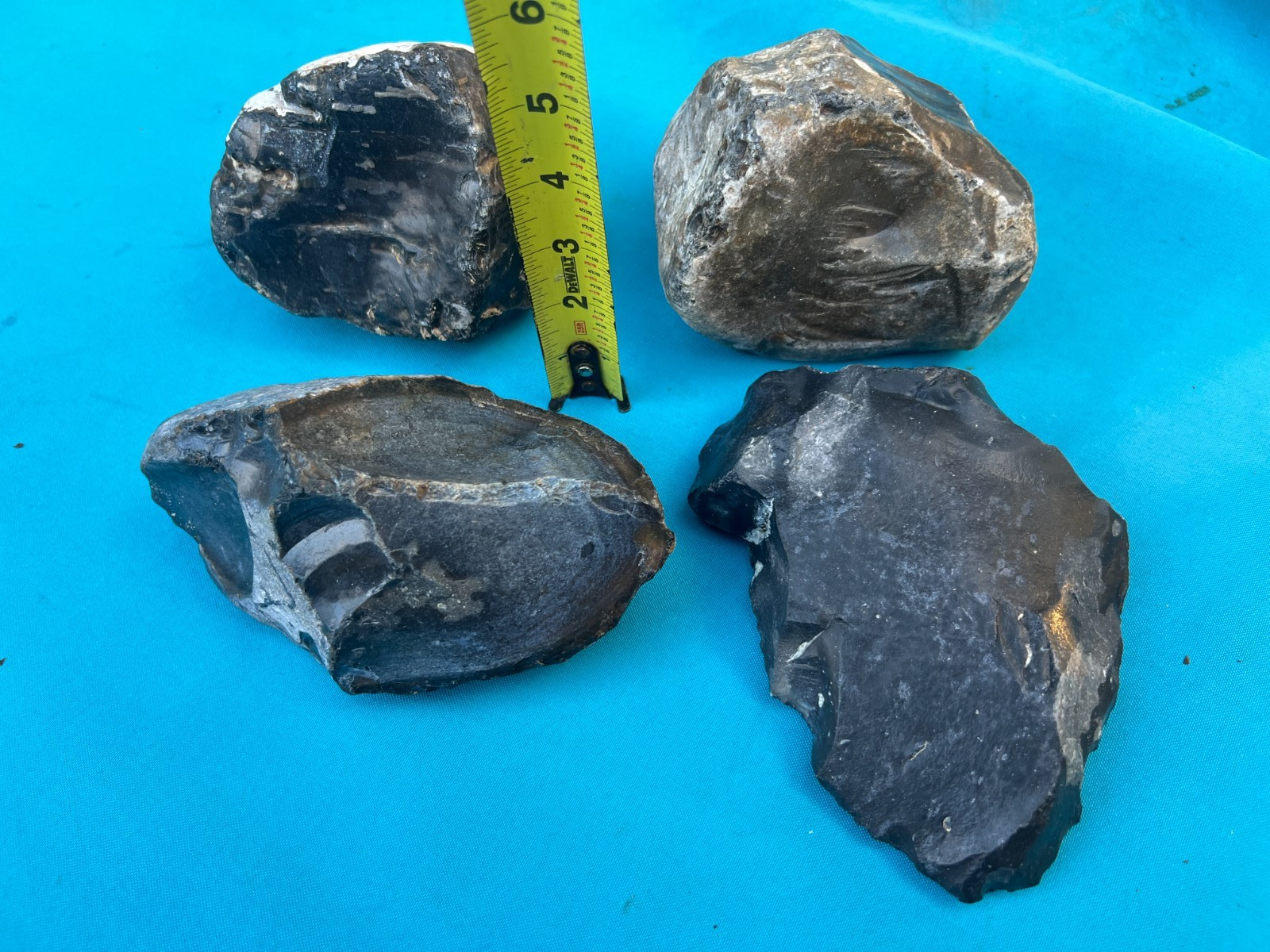 Texas Large 4 Cert Nodule Lot Deep Dark Black Glassy Material Washington County
