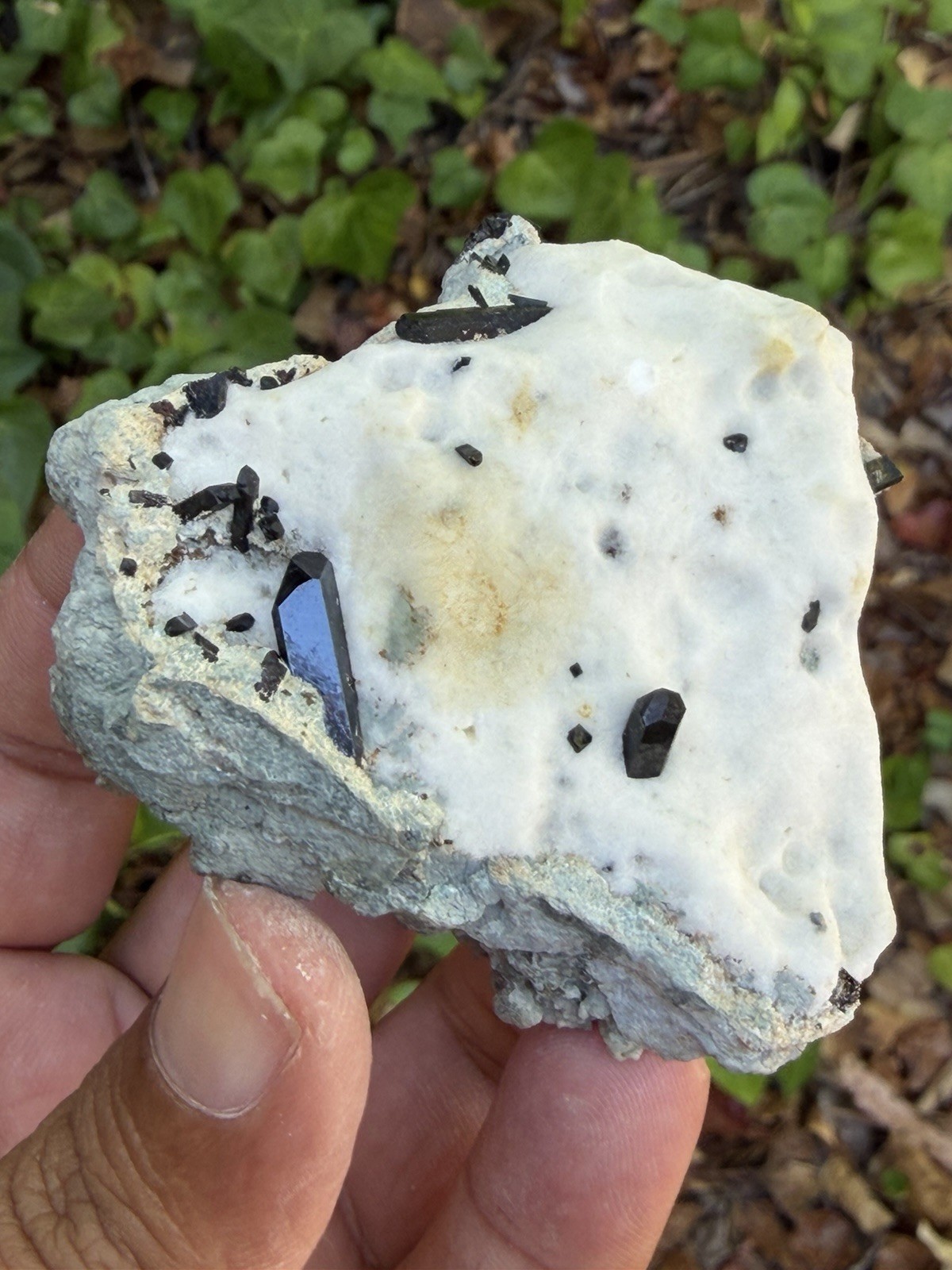 Top Quality Neptunite On Natrolite Specimen From San Benito, CA, 6cm, 70gm Top Quality Neptunite On Natrolite Specimen From San Benito, CA, 6cm, 70gm