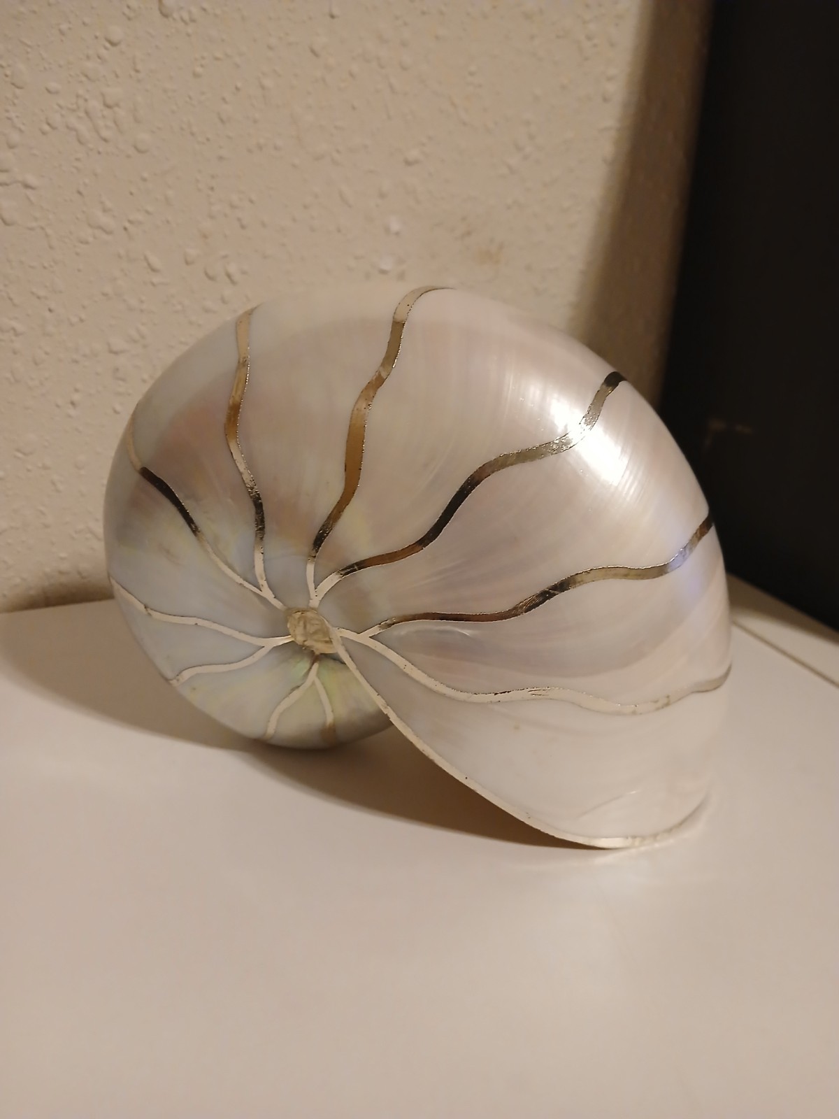Large Irridescent Silver plated gilded stripes, prarlized. 7x5. Beautiful