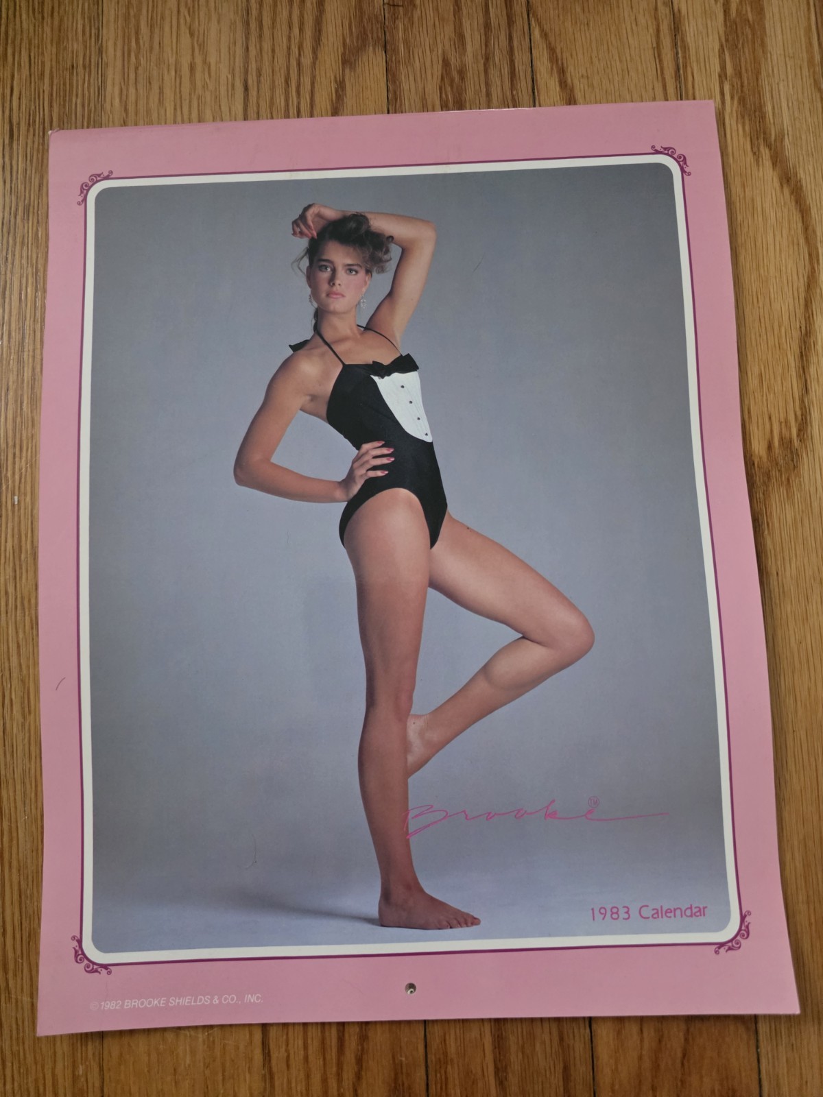 1983 Brooke Shields 12 Month Calendar UNUSED New Old Stock Vintage