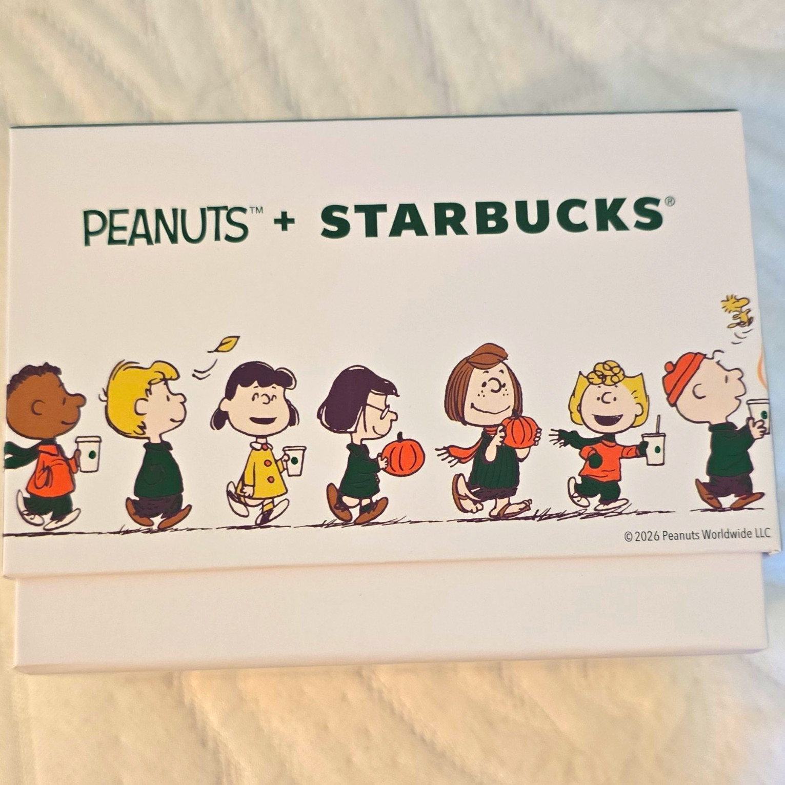 Starbucks x Peanuts Snoopy Woodstock Charlie Brown Ceramic Mug 14 fl oz Starbucks x Peanuts Snoopy Woodstock Charlie Brown Ceramic Mug 14 fl oz