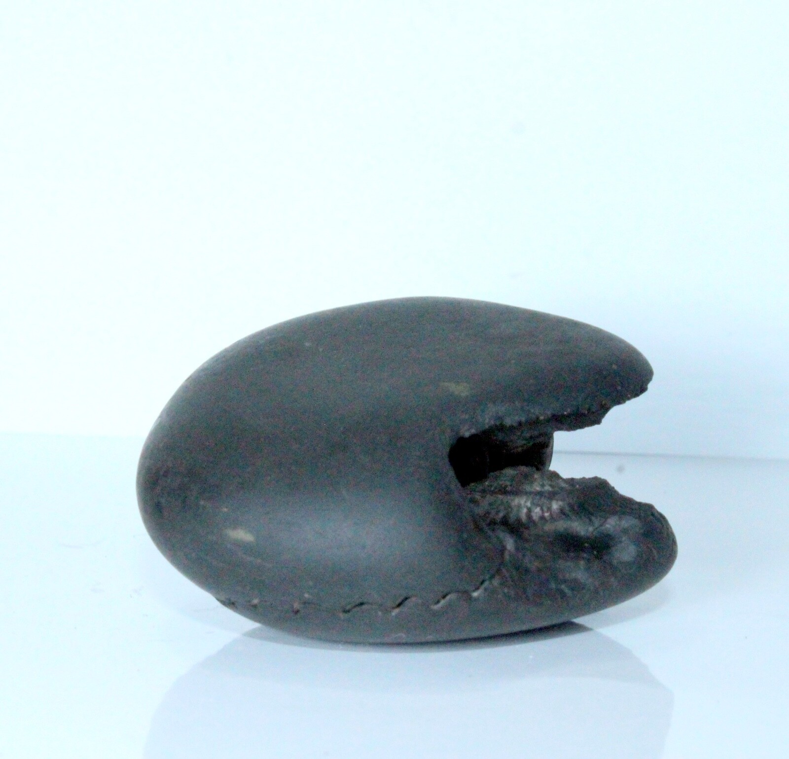 Golden Hayagriva Shaligram wt-135 gram size 2.50 inch Golden Hayagriva Shaligram wt-135 gram size 2.50 inch