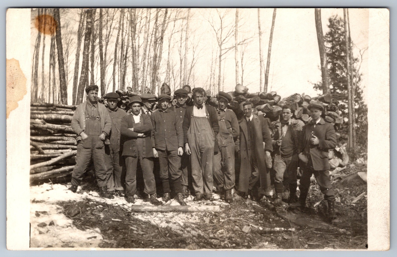 RPPC Logging Crew Lumberjacks Group Photo Log Pile Woods Occupational c1910s