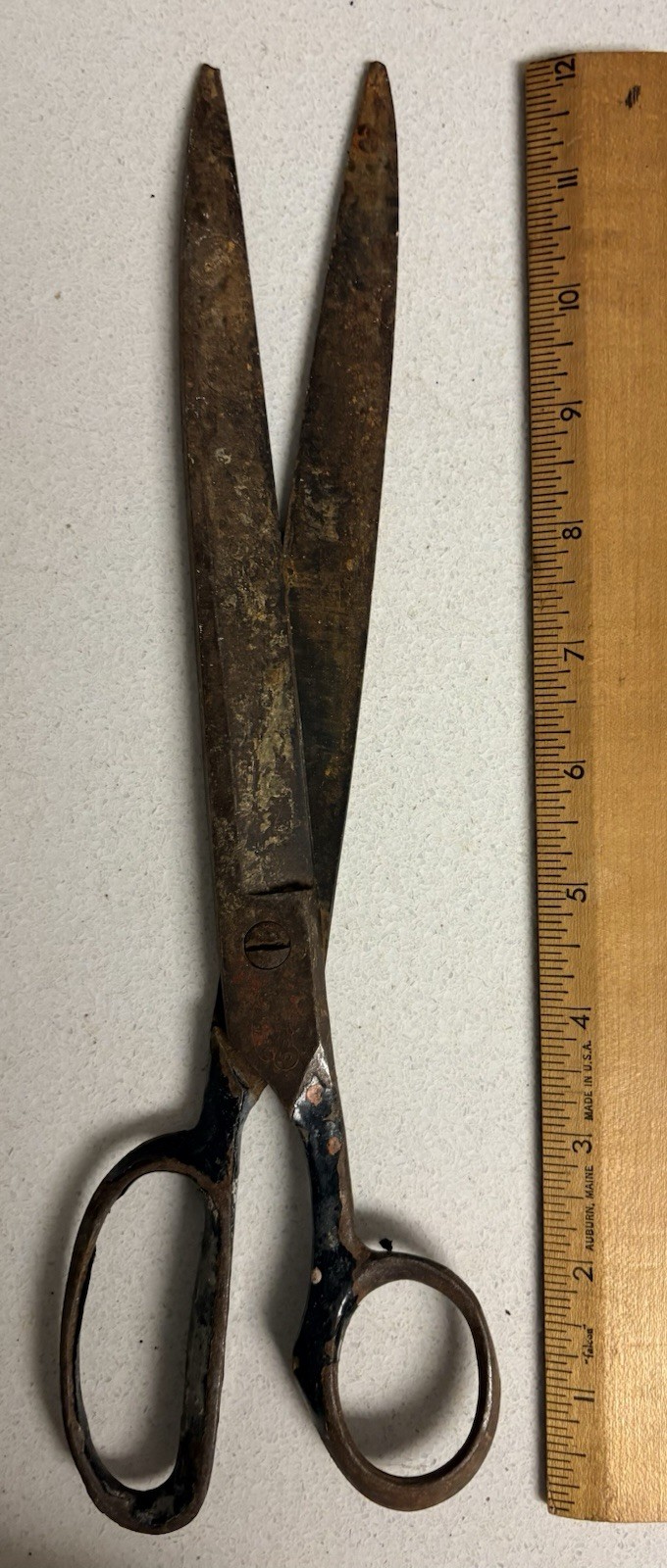 Vintage Unmarked 13 Inch Heavy Duty Scissors