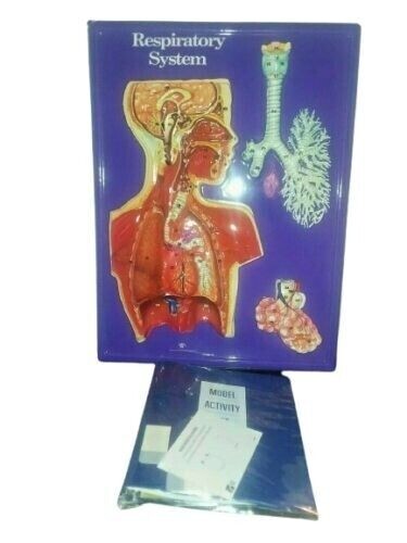 Hubbard Scientific 3D 3 Dimensional Plastic Chart Respiratory System Kit Hubbard Scientific 3D 3 Dimensional Plastic Chart Respiratory System Kit