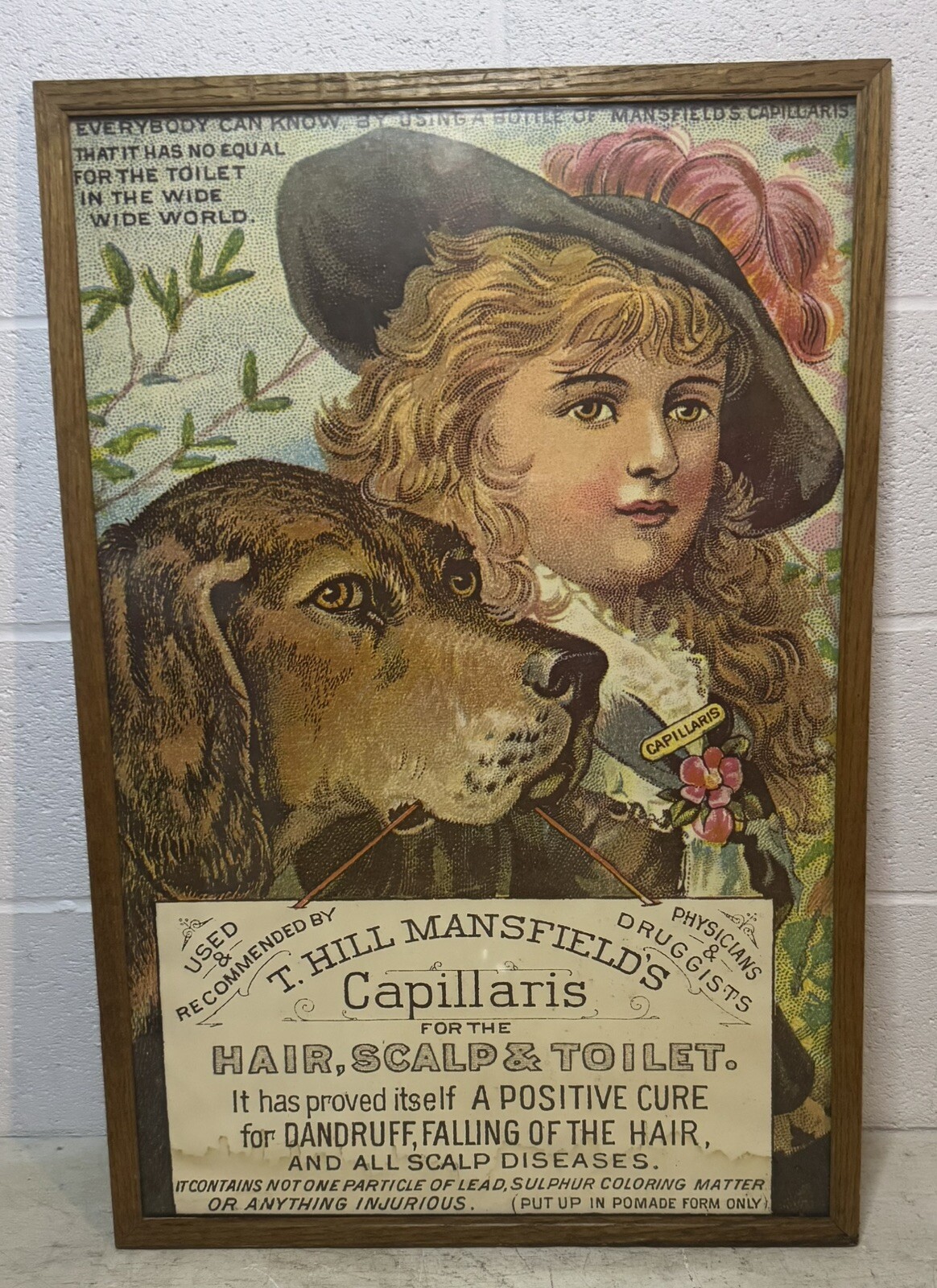 Antique 1896 Victorian T. Hill Mansfield's Capillaris Tonic Litho Print Framed