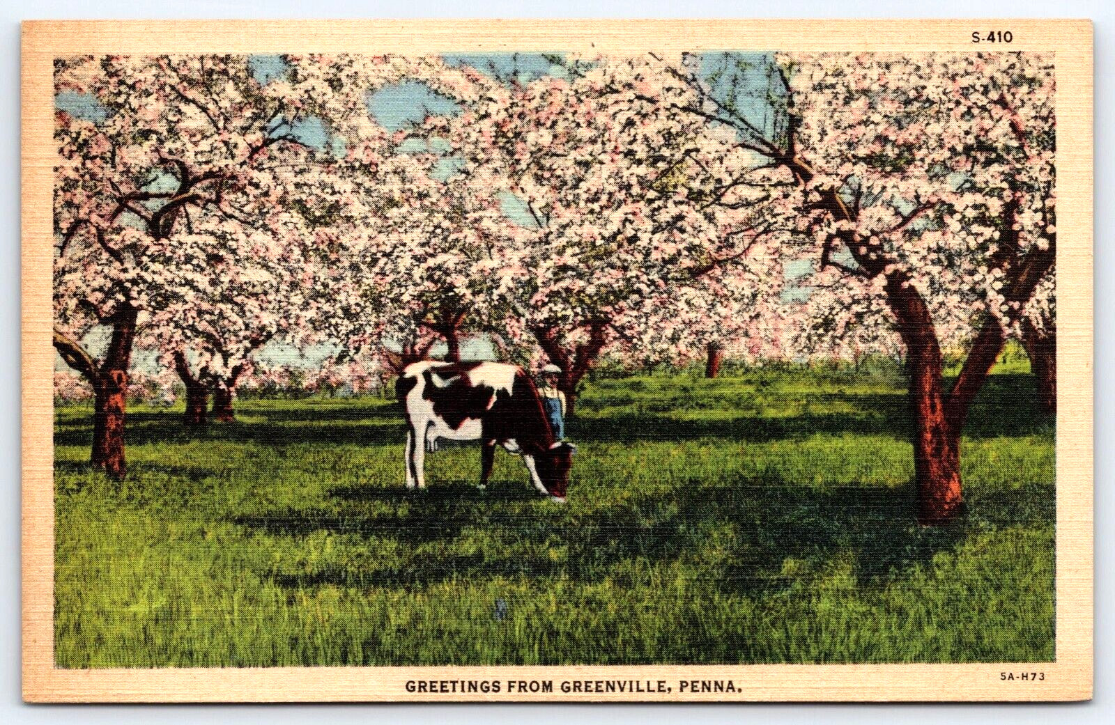 GREENVILLE PENNSYLVANIA PA GREETINGS COW MAN TREES VINTAGE LINEN POSTCARD