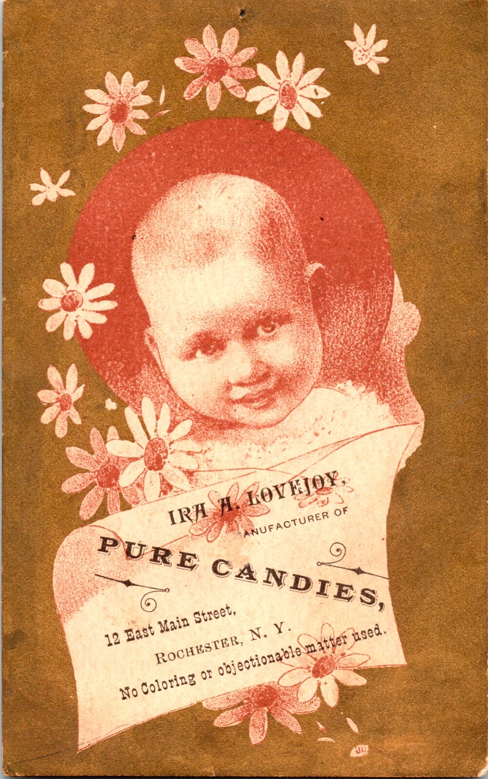 Antique Gold Gilded Adorable Victorian Baby, Daisies, Candy Store, Trade Card NY Antique Gold Gilded Adorable Victorian Baby, Daisies, Candy Store, Trade Card NY