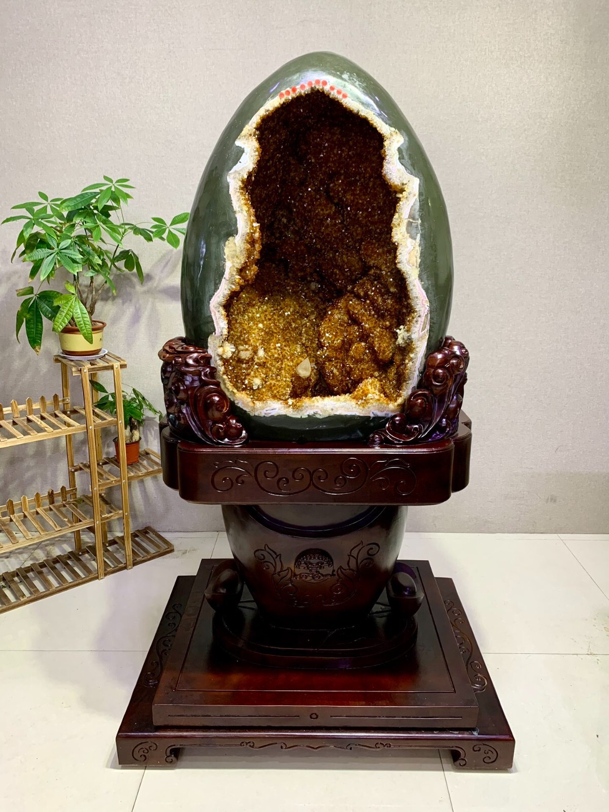 1102lb Natural High grade citrine Crystal Church Cathedral Geode dinosaur egg
