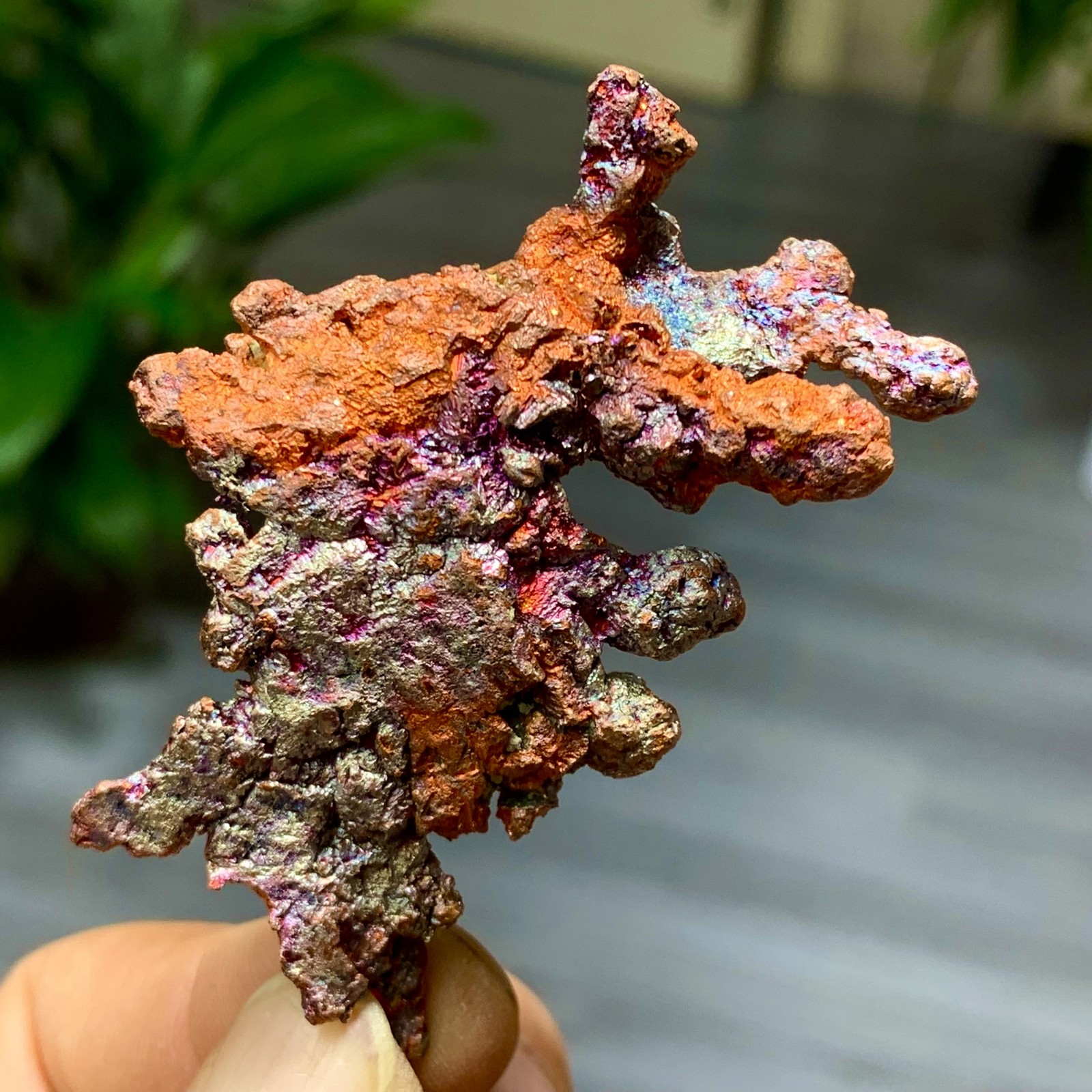 42G  Rare iridescent Native Copper crystal mineral specimen
