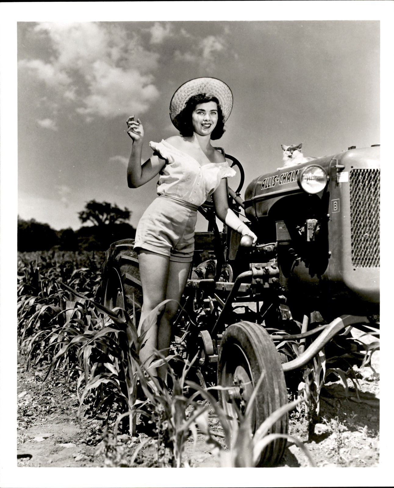 GA315 1950s Orig Kaufmann & Fabry Photo SEXY FARM GIRL TRACTOR CHEESECAKE PINUP GA315 1950s Orig Kaufmann & Fabry Photo SEXY FARM GIRL TRACTOR CHEESECAKE PINUP
