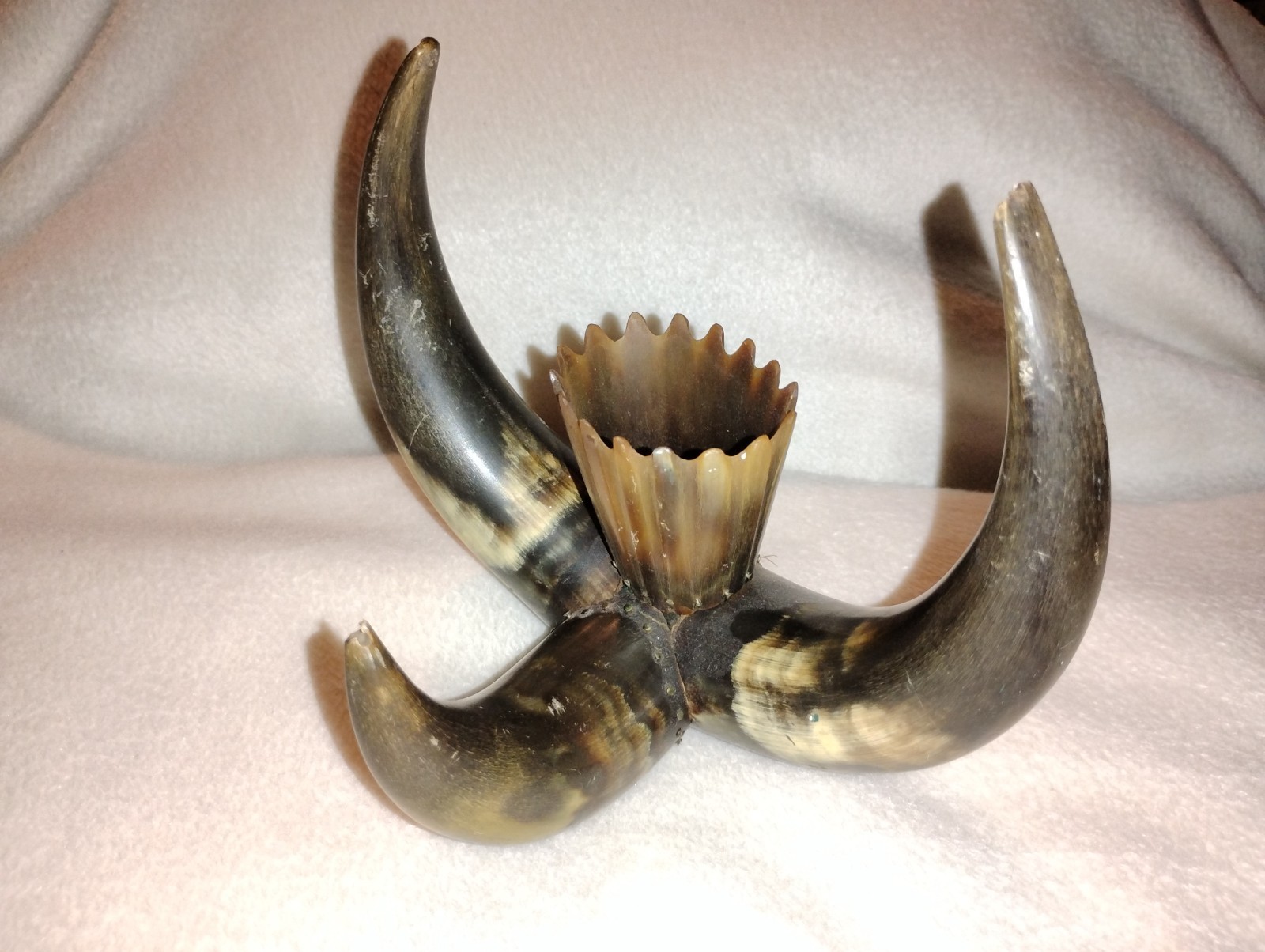 VINTAGE STEER HORN TOOTHPICK HOLDER REAL BULL HORN WESTERN DECOR MAN CAVE RARE