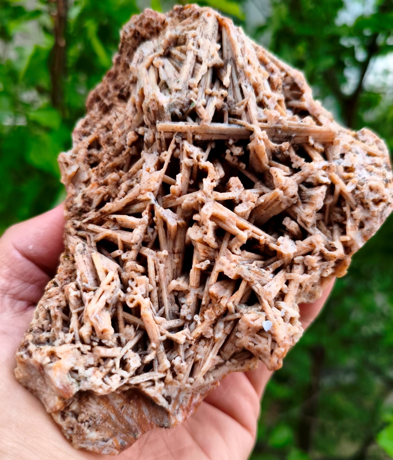 1 Lb 10.3 Oz Extremely Rare Agate Pseudomorph After Zeolite 1 Lb 10.3 Oz Extremely Rare Agate Pseudomorph After Zeolite
