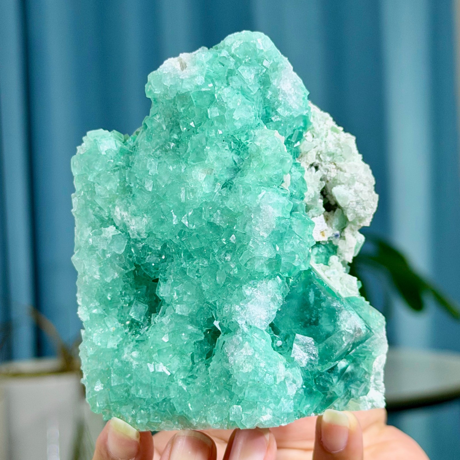 1.13LB Rare transparent green cubic fluorite mineral crystal sample/China