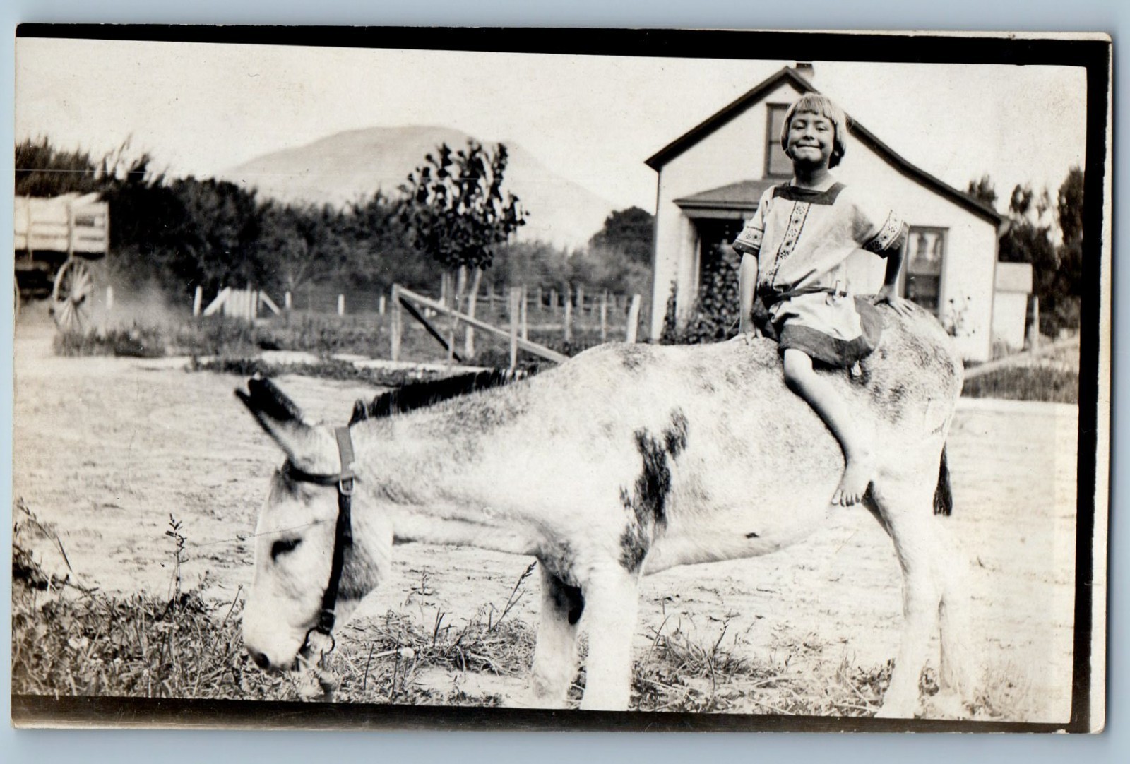 c1910's Child Girl Ride On Mule House Scene RPPC Photo Unposted Antique Postcard c1910's Child Girl Ride On Mule House Scene RPPC Photo Unposted Antique Postcard