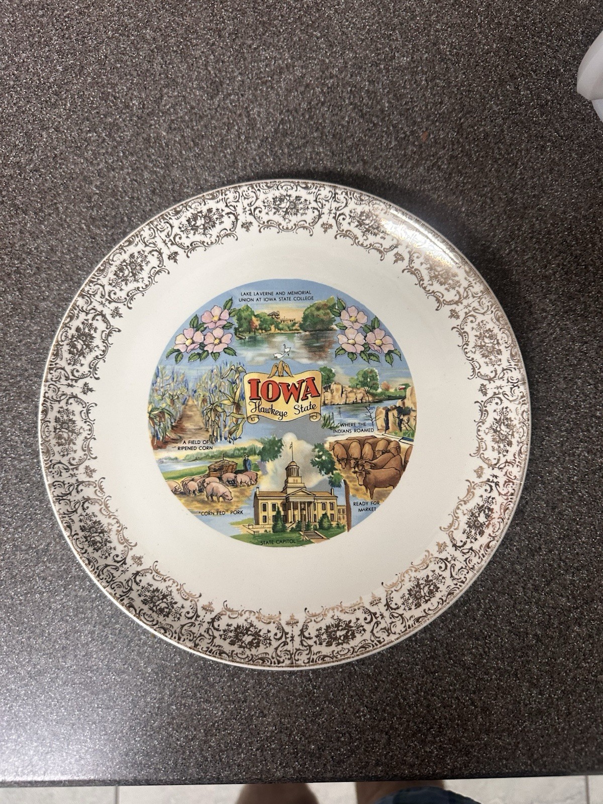 Decorative 1950s Vintage Collectible Iowa State Sights