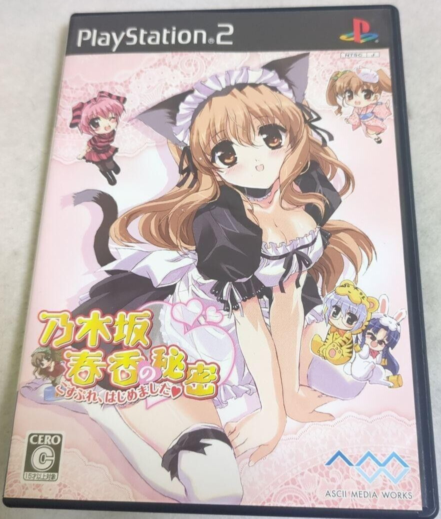 Japanese anime Haruka Nogizaka\'s Secret PS2 I\'ve started cosplaying.
