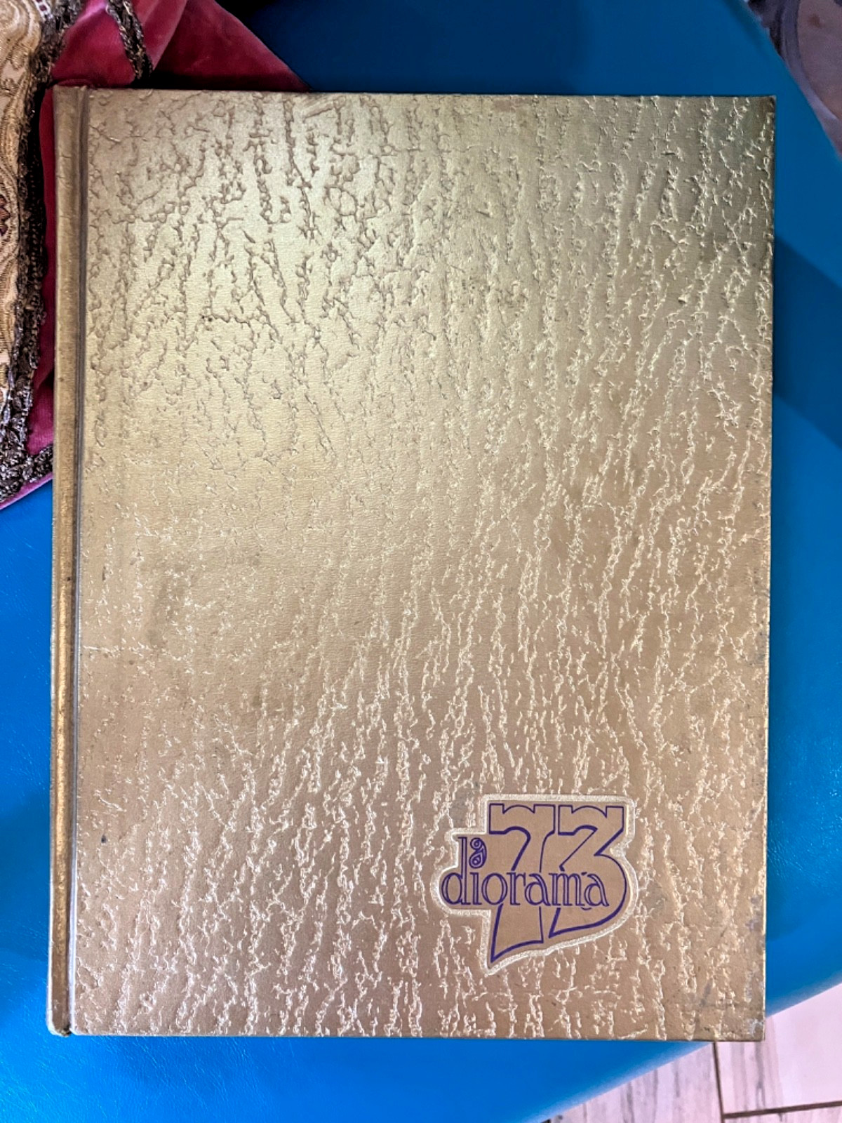 1973 Florence State, UNA-University Of  North  Alabama Yearbook. Diorama.